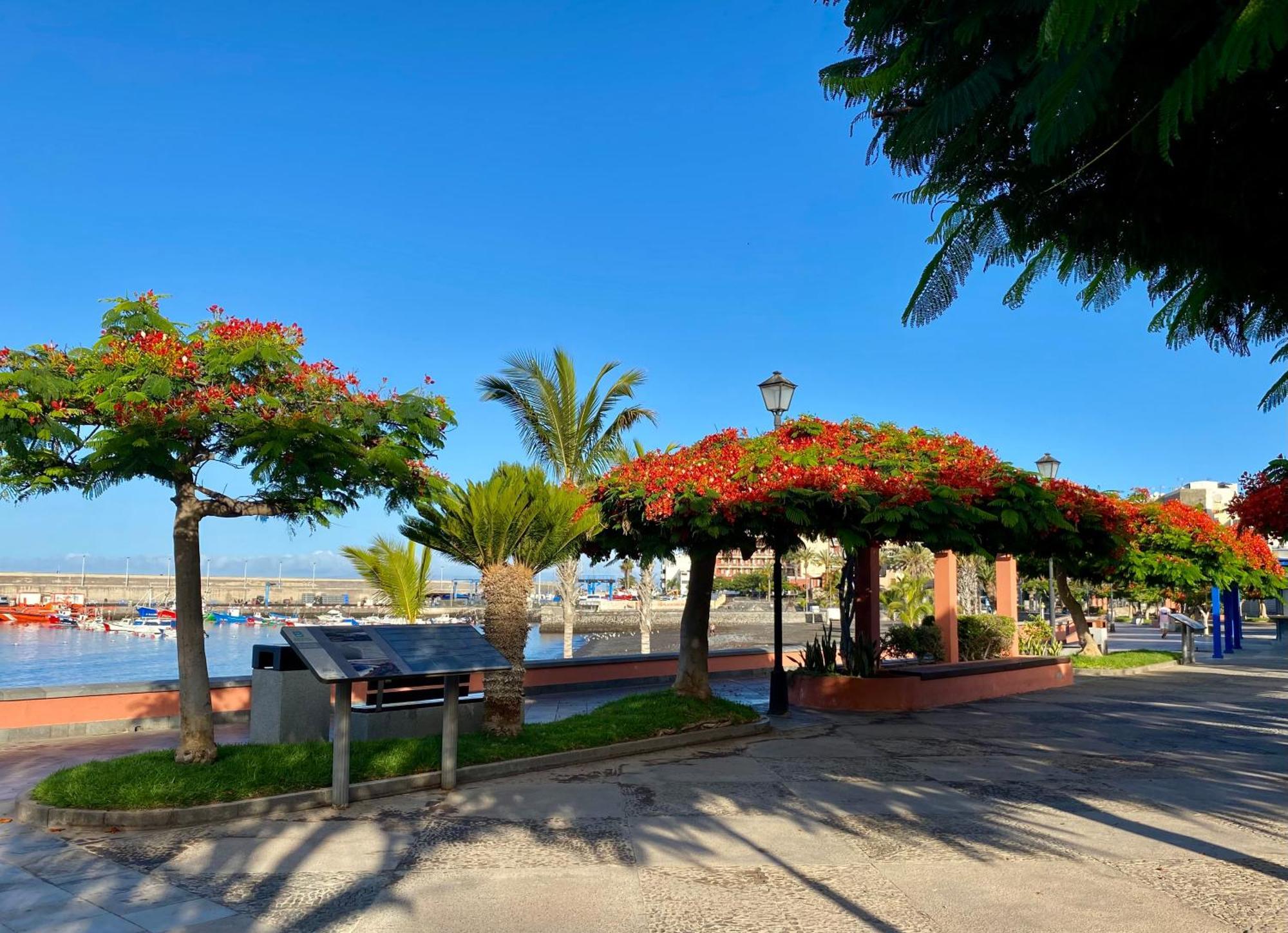 Apartament Casa Antonio - Orion
